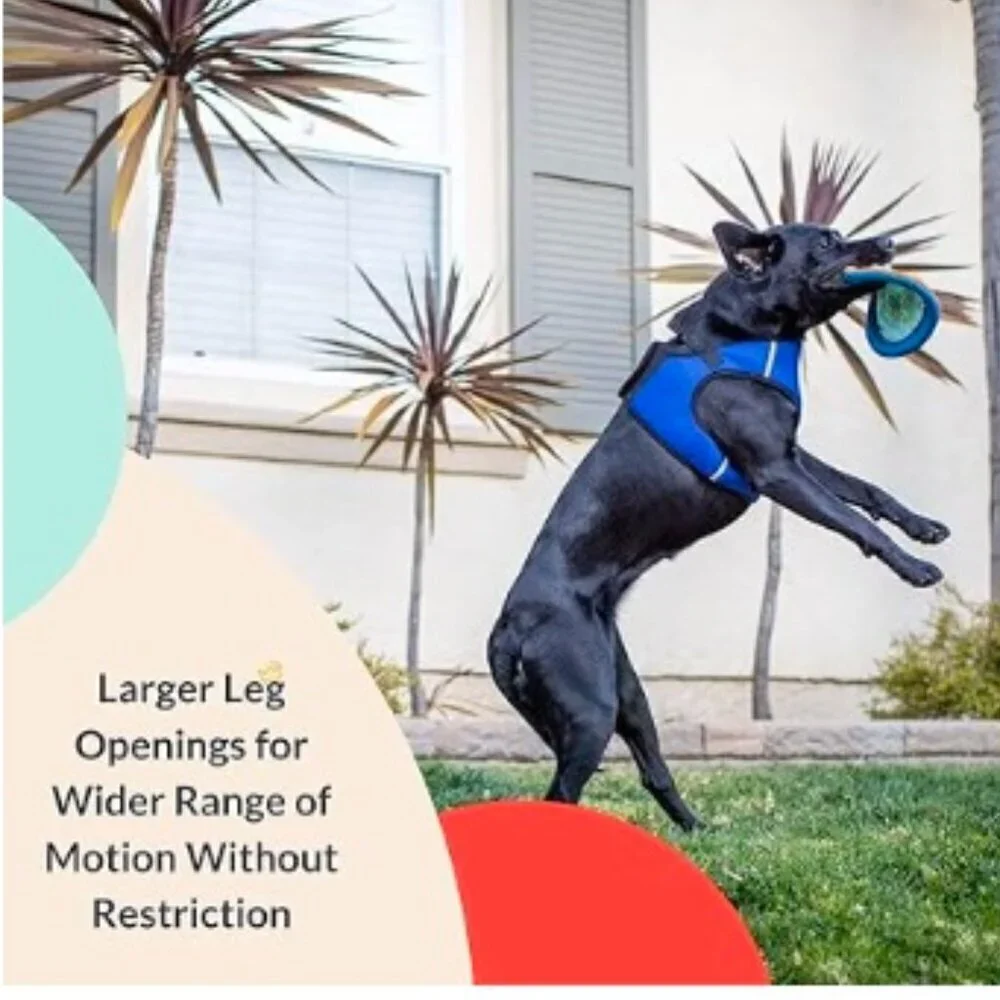 Blue (Extra-Large, 35-50lbs) | Easy Control Step-in Mesh Vest Harness for Dogs